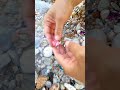 Gem stones from the canyon #outdoors。 diamonds and gold