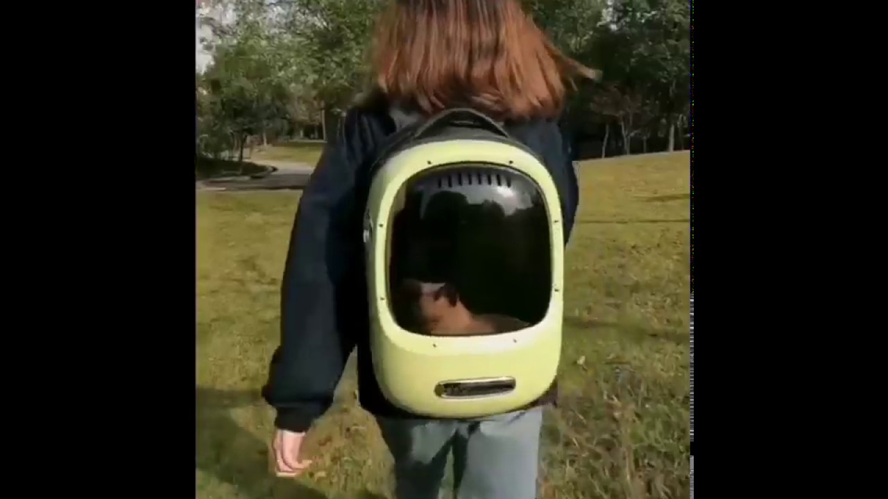 BREEZY กระเป๋าแมวสุดล้ำ ดีไซน์วินเทจ Smart Cat Carrier by Petkit YouTube