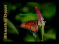 Woh ishq Jo Humse Rooth Gaya - Shabnam Majeed Whatsapp Status Video Download Free