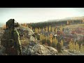 Жига(Dayz)