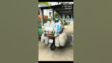 Cung cấp số lượng lớn cá giống các loại. Anh chị cần cá giống ới em 0909770509 #cá_giống