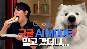 광고 블로그에 속아서, 