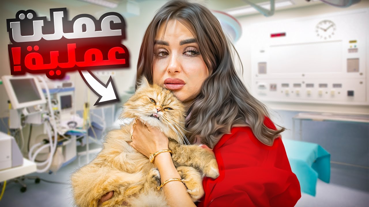 قررنا نعمل عمليه لقطتنا نوتيلا | ماكان في خيار ثاني !!