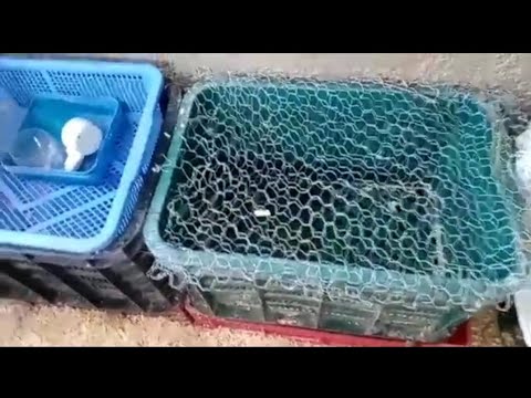 صنع اقفاص الارانب من البلاستيك الجزء الثاني فكره رائعه