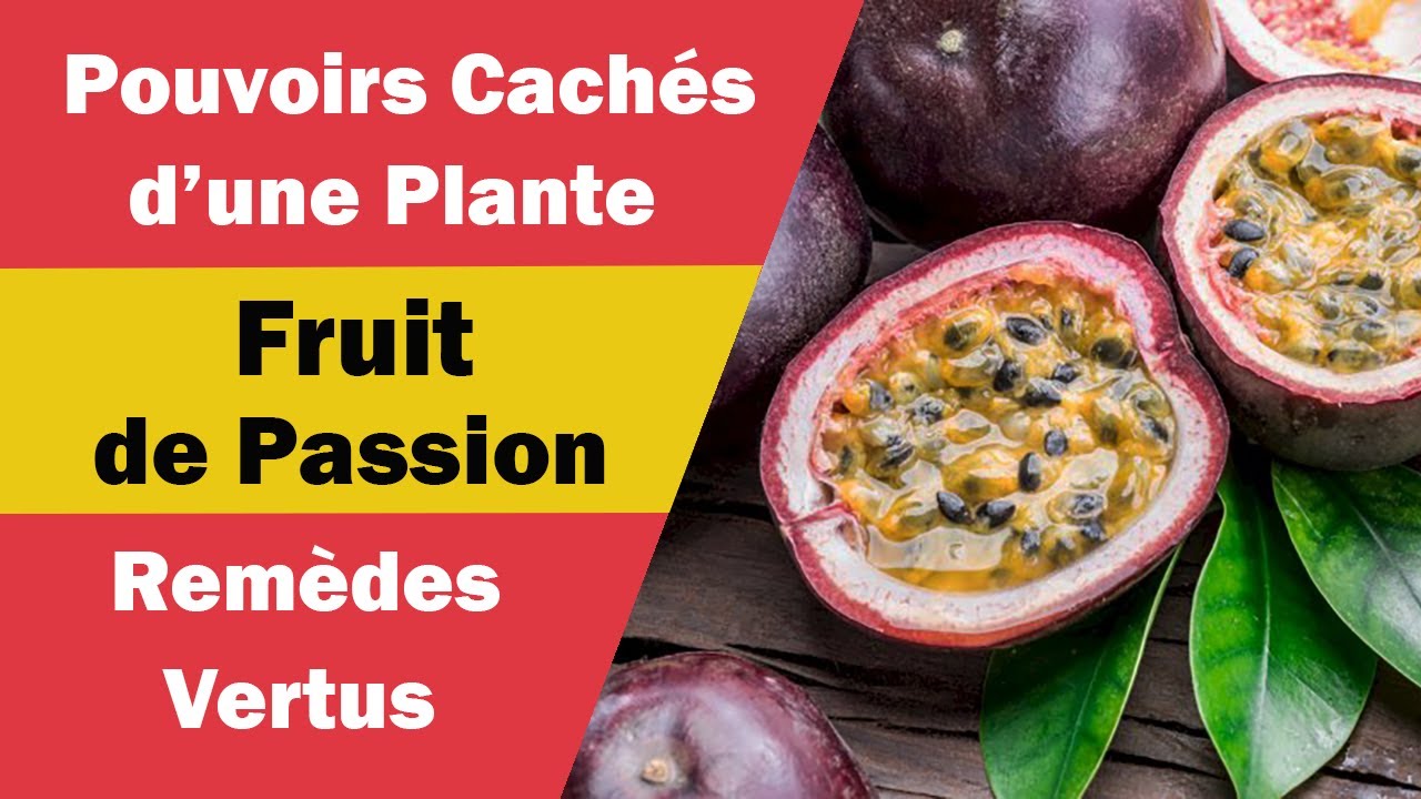 Bienfaits et Usages du Fruit de la Passion - YouTube
