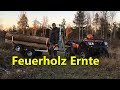 Feuerholz Ernte mit Quad und Rückewagen