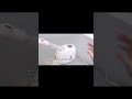 Hot Mist Facial Steamer Air Humidifier Face Moisturizing For Facial Sauna Hydration Skin Care