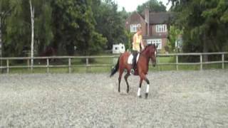 DANCER FLATWORK2