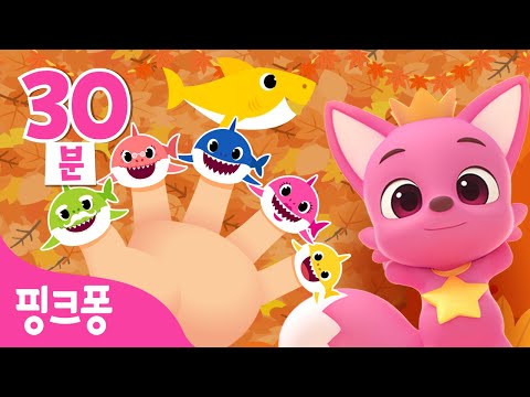 핑크퐁 가을🍁동요 연속듣기  | +모음집  | 상어 가족의 하루, 통통통 우리 아기, 곰 <strong>가족송</strong>, 빨간 망토 아기 상어 외 | 가을 나들이 갈 때 함께 들어요! | 핑크퐁!