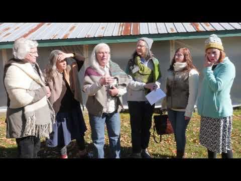 Shave Em' to Save Em' at NY State Sheep and Wool Festival