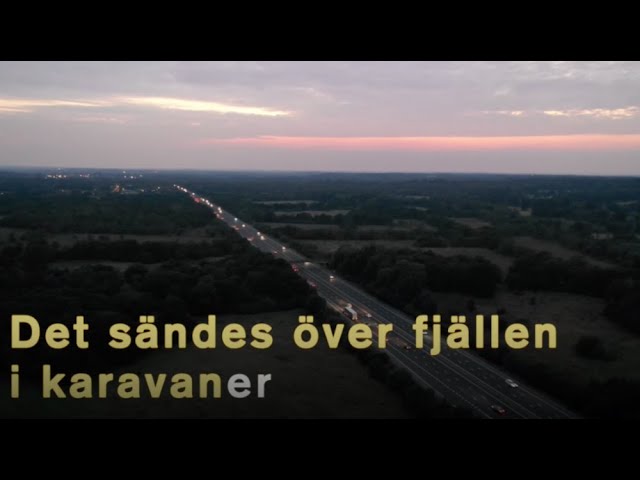 Assista a Vasas flora och fauna – Misty no YouTube Assista a Vasas flora och fauna – Misty no YouTube