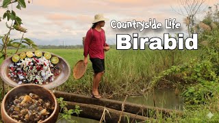 Life in Countryside Picking Snail | Buhay Probinsya 