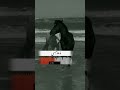 وشلون مغليك تصميم اغاني تصميم اغاني ميحدحمد وشلون مغليك تصميم اغاني تصميم اغاني ميحدحمد