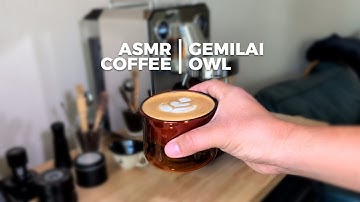 Morning Coffee ASMR with the Gemilai Owl