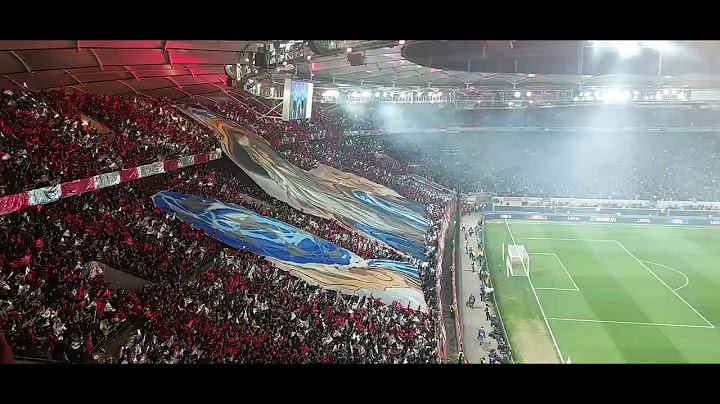 PHÄNOMENALE STIMMUNG UND CHOREO! VfB Stuttgart - Paris Saint-Germain