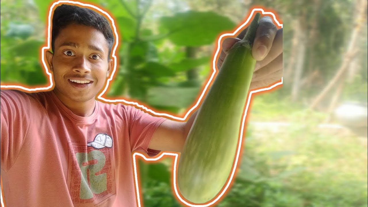Fresh Vegetables Near Our Home | Village Life Vlog