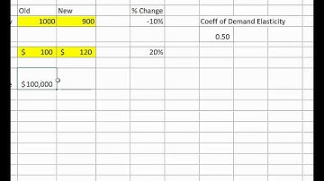 Elasticity Video in Excel