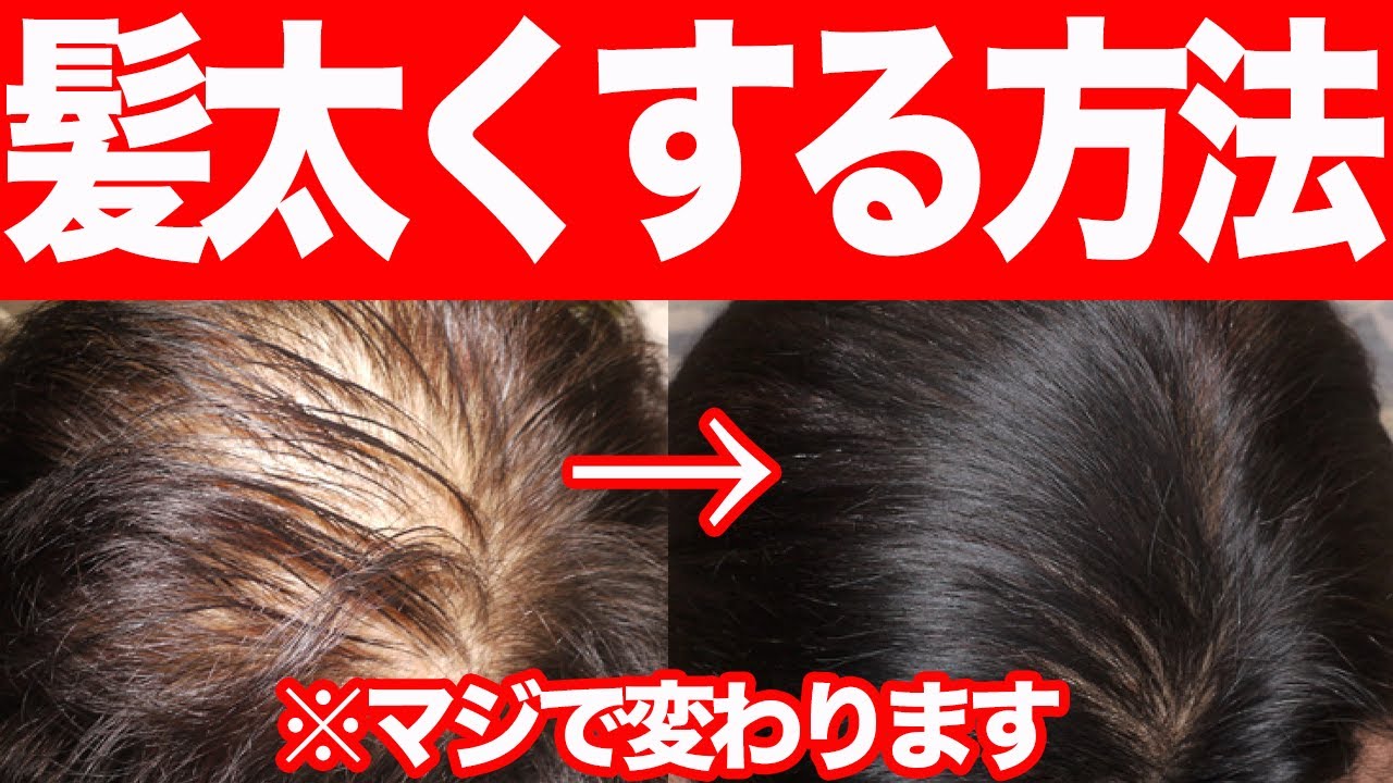 細い髪を太くする裏技 効果抜群の方法を紹介 Youtube 細い髪を太くする裏技 効果抜群の方法を紹介 Youtube