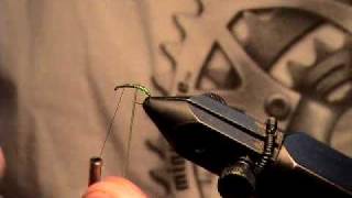 Green Rockworm