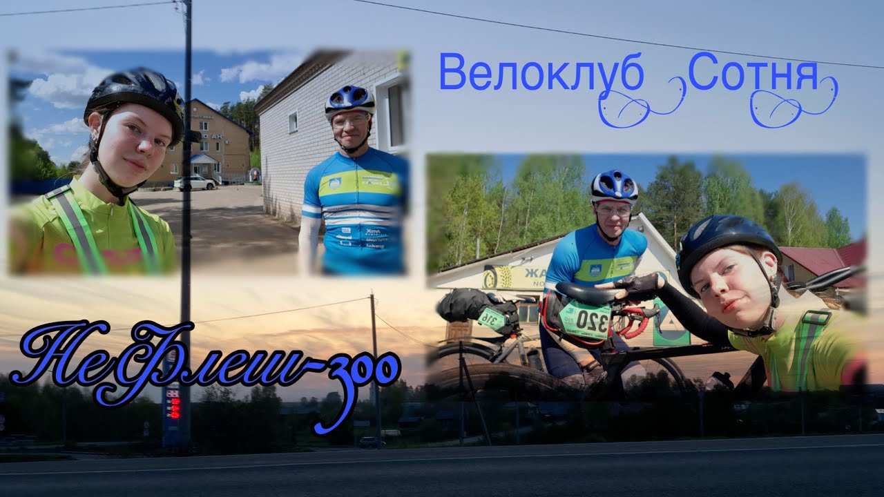 Бревет 300 глазами участника