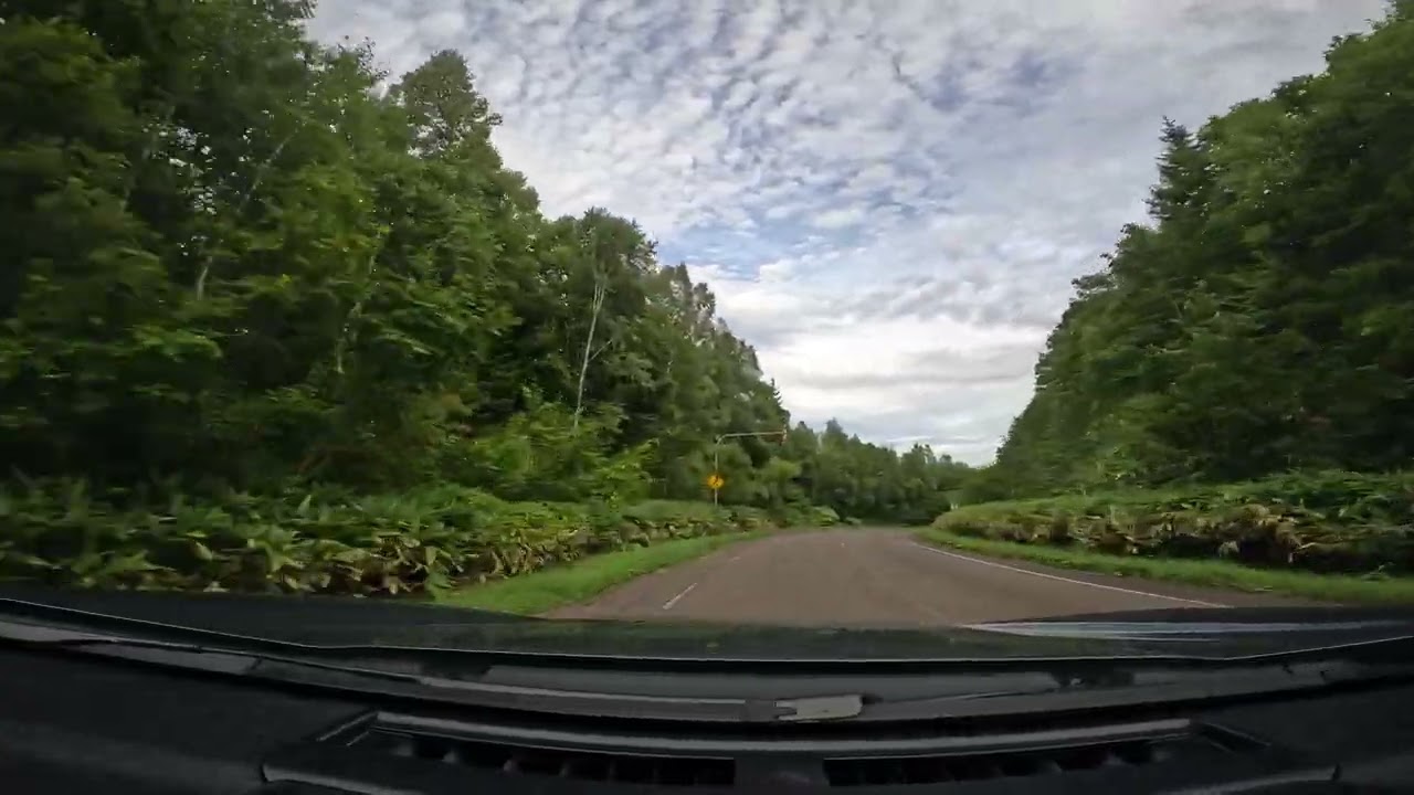 ピッシリ山／登山口～道道528／蕗の台朱鞠内停車場線ゲート～蕗ノ台駅跡付近～道道688／名寄遠別線～母子里　2022.8.29