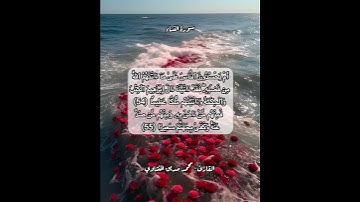 سورة النساء ٥٤-٥٥ #قرآن #قرآن_كريم #قران #قران_كريم #قرأن #quran