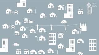Famous Grid Modernization Net Worth