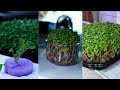 Cheap  easy hydroponic gardening indoors and outdoors