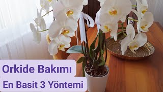 Orkide Bakımı Nasıl Yapılır Püf Noktası Nelerdir #Orkide #Keiki