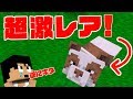 カズクラ2019 超激レア 茶色パンダキター マイクラ実況 PART25 