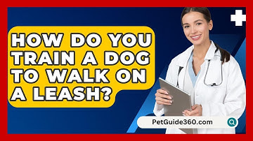 How Do You Train A Dog To Walk On A Leash? - PetGuide360.com