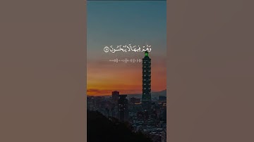 من كان يريد الحياة الدنيا - القارئ ناصر العصفور