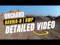 Orchard Bahria Town Rawalpindi | Detailed Video | Price, Loc &amp; Development Updates | Jan 2023