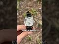 First installment of Ryan's interesting picks, this week a vary rare Roger Dubuis