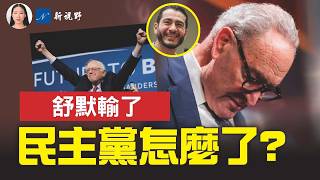 舒默為何守不住密歇根?參議員初選進步派爆冷勝出,揭開民主黨真正的內部分歧。川普背書再下一城。#川普 #民主黨初選 #密歇根 | 新視野 第2473期 20260805