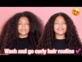 HOW I DO MY NIECE WASH AND GO CURLY HAIR ROUTINE -- IRISBEILIN