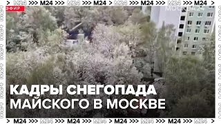 Москвичи поделились кадрами майского снегопада - Москва 24