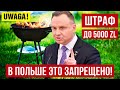 Штраф до 5000 злотых в Польше! Это надо знать!