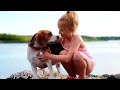 How Nicely Beagle Dogs Can Play With Child | @Charlie The Beagle