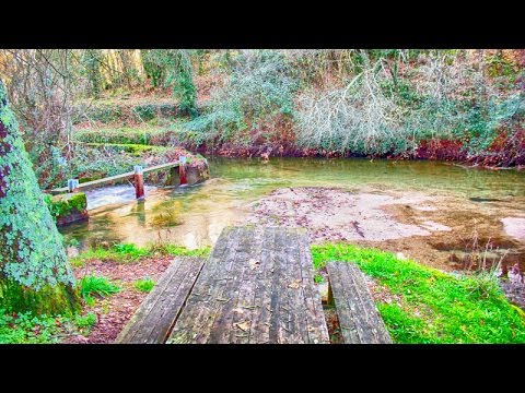 Praias Fluviais de Portugal - Vinhós / Travassós