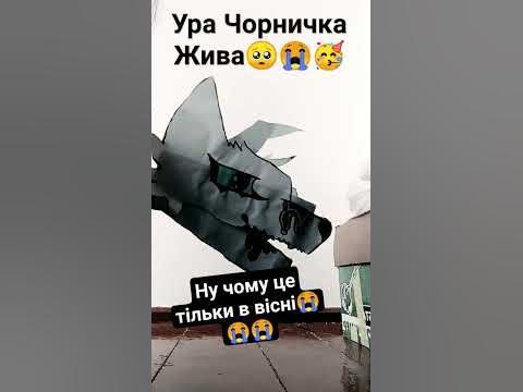 чому це у вісні🥺😭😭😭😭😭😭😭😭😭😭😭 - YouTube