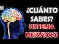 ¿Cuánto Sabes Sobre el "SISTEMA NERVIOSO"? Test/Trivial/Quiz