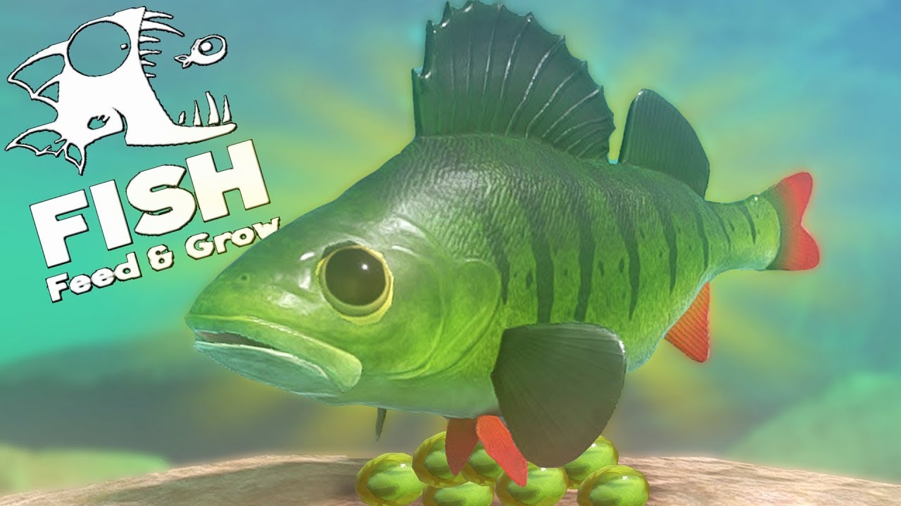 feed grow fish 10.1 mod feed grow fish 10.1 mod