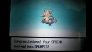 Evolve Spoink!