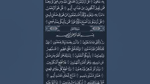 مكررة نصف ساعة سورة الملك كاملة تلاوة القارىء شاكر العصيمي