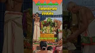 SeethaRama Talambrala Veduka 🌺 #reels #trending #shorts #viral #youtubeshorts #bhakti
