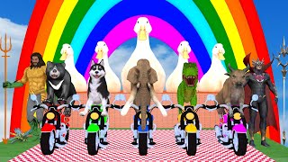 5 Giant Duck, Cow, Dinosaur, Husky, Bear, Elephants, Transfiguration funny animal 2024