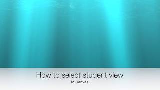 Using Student View in Canvas