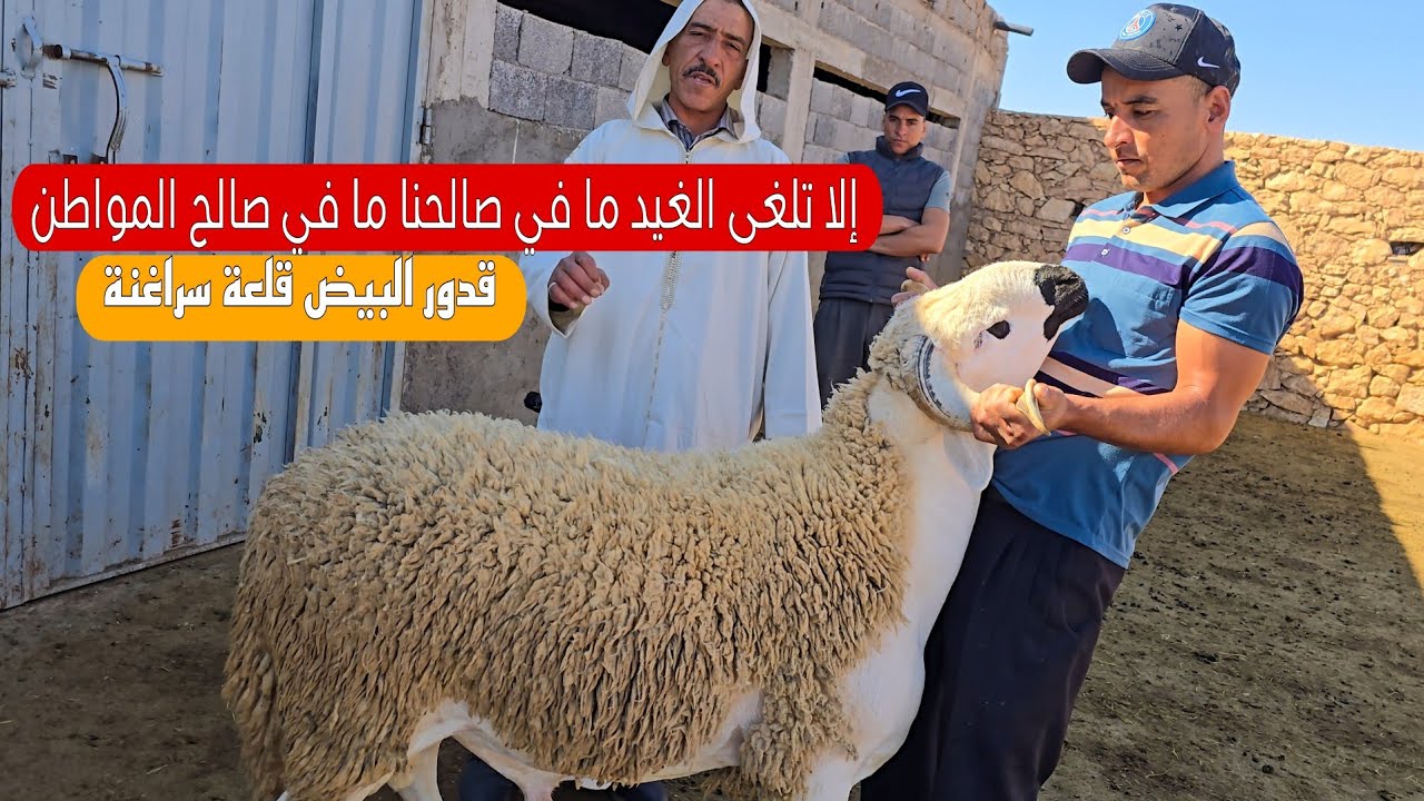 إلغاء العيد ما في صالحنا ما في صالح المواطن مع قدور البيض في الحدرة اقليم قلعة سراغنة