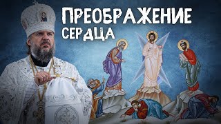 ПРЕОБРАЖЕНИЕ СЕРДЦА. МИТРОПОЛИТ ТВЕРСКОЙ И КАШИНСКИЙ АМВРОСИЙ